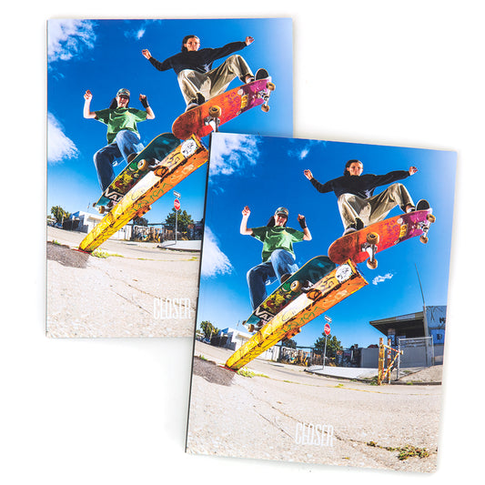 Volume 3.3 Issue #11 2025