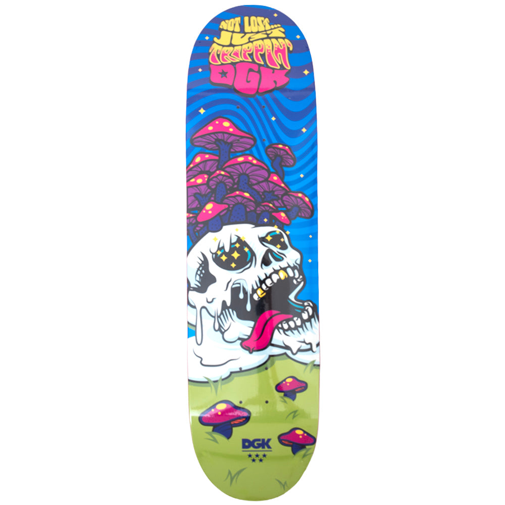 Not Lost Deck (8.5) – Uprise Skateshop