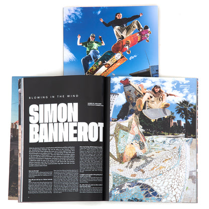 Volume 3.3 Issue #11 2025