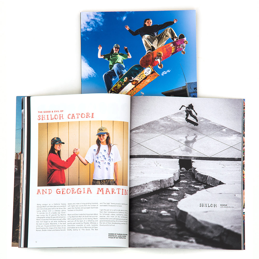 Volume 3.3 Issue #11 2025