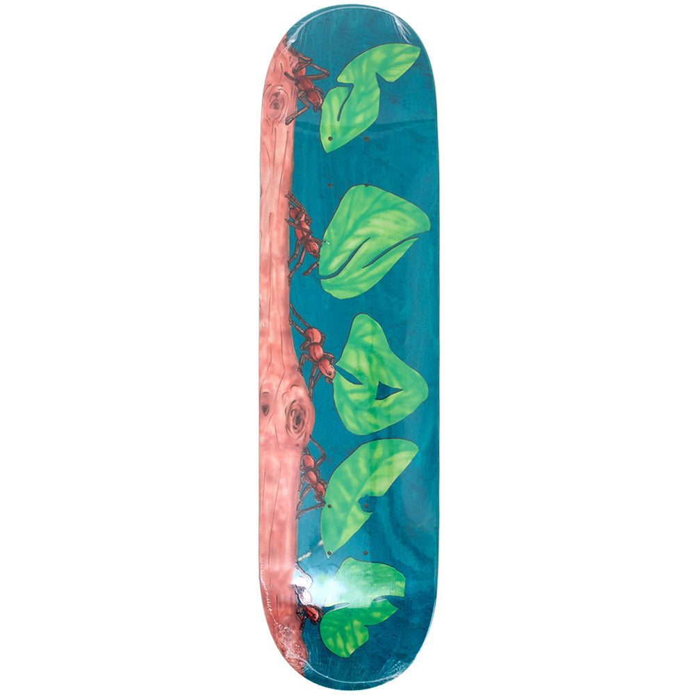 Snack – Uprise Skateshop