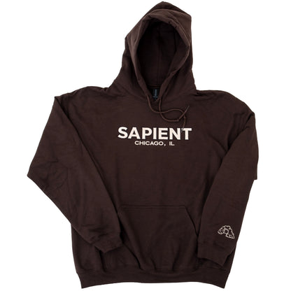 Sapient Embroidered Hooded Sweatshirt (Brown)