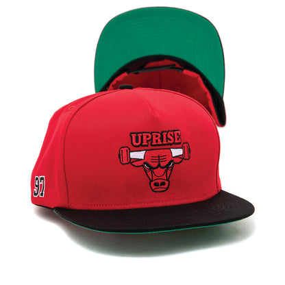 Home Team Snapback (Nose Bleed Red)
